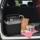 Термоэлектрический автохолодильник Coolfort CF-0233 25л черный
