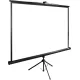 Проекционный экран CACTUS TriExpert 200x200 CS-PSTE-200х200-BK