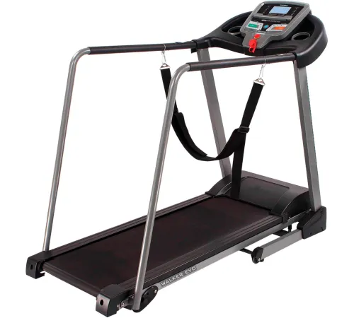 Электрическая беговая дорожка DFC Walker EVO T-S1