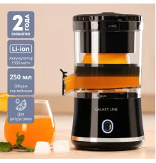Соковыжималка Galaxy Line GL0855 черный