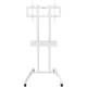 Стойка для телевизора CACTUS CS-ST04WT