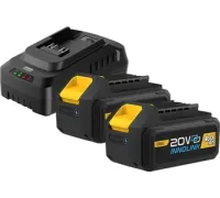 Аккумулятор с зарядным устройством Deli EDL-CM20A4E 20В/2x4 Ah + 20В