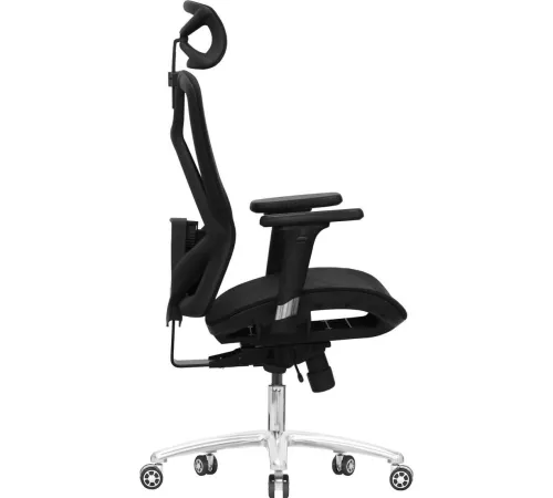 Офисное кресло Evolution Exo F1 Mesh Black черный