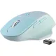 Мышь SmartBuy 615AG SBM-615AG-S