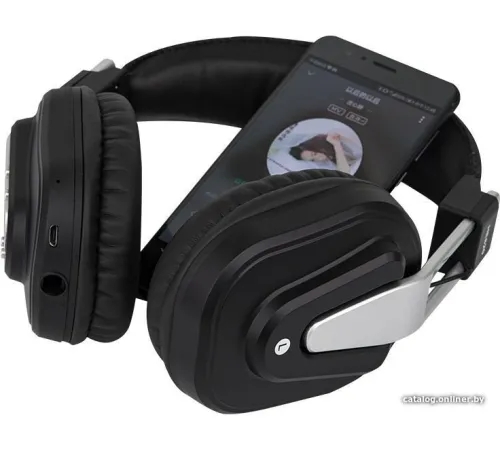 Наушники Alctron HE820