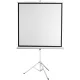 Проекционный экран Digis Kontur-D 248x250 DSKD-1108