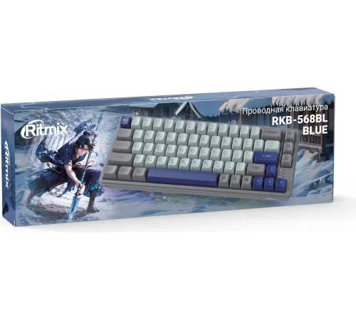 Клавиатура Ritmix RKB-568BL серый/голубой