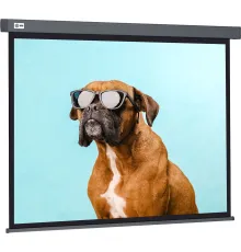 Проекционный экран CACTUS Wallscreen 149x265 CS-PSW-149X265-SG