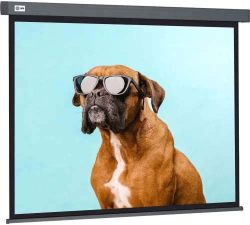 Проекционный экран CACTUS Wallscreen 149x265 CS-PSW-149X265-SG