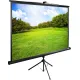 Проекционный экран CACTUS TriExpert 160x160 CS-PSTE-160x160-BK