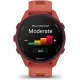 Умные часы Garmin Forerunner 170 Music красный