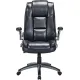Офисное кресло Brabix Premium Paradigm EX-556 532976 черный