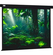 Проекционный экран CACTUS Wallscreen 213x213 CS-PSW-213X213-BK