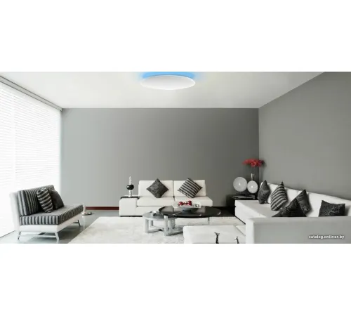 Светильник-тарелка Yeelight Arwen Ceiling Light 450C YLXD013-B
