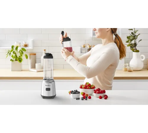 Стационарный блендер Moulinex Mix&Move LM15FD10