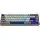 Клавиатура Ritmix RKB-568BL серый/голубой