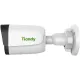 IP-камера Tiandy TC-C35WS 3ERA-28