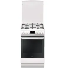 Кухонная плита Hansa FCMW59209
