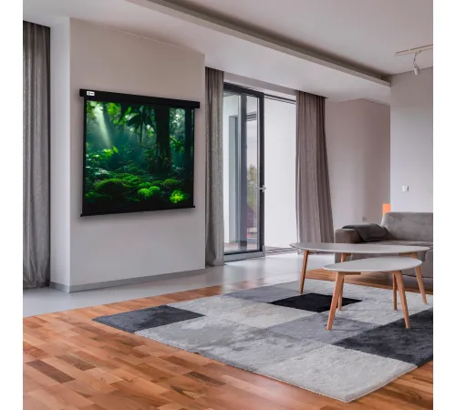 Проекционный экран CACTUS Wallscreen 213x213 CS-PSW-213X213-BK