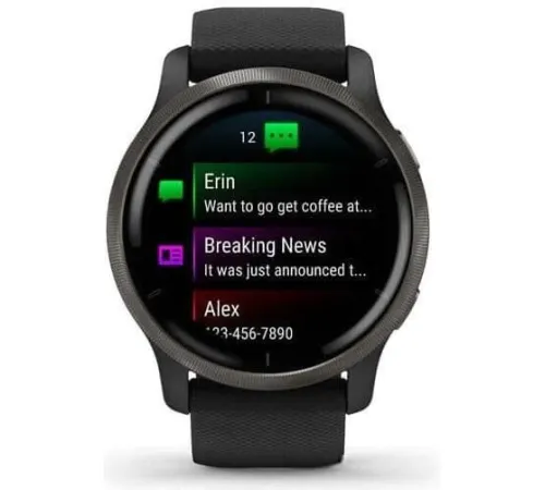 Умные часы Garmin Venu 2 сланцевая нержавеющая сталь/черный