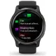 Умные часы Garmin Venu 2 сланцевая нержавеющая сталь/черный