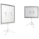 Проекционный экран Digis Kontur-D 248x250 DSKD-1108