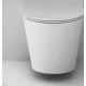 Унитаз подвесной AM.PM Sunny Flashclean C85C1701SC + GROHE Rapid SL 38772001