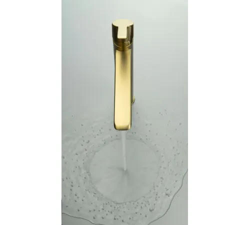 Смеситель Deante Arnika Gold BQA R20N