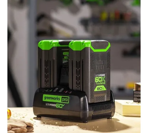 Зарядное устройство Greenworks G60DC10 2954407