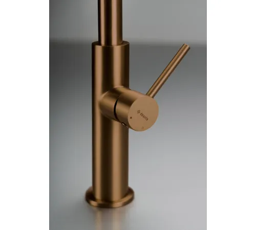 Смеситель Deante Evora Bronze BR BQJ_C62M
