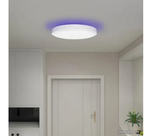 Светильник-тарелка Yeelight Arwen Ceiling Light 550S YLXD013-A