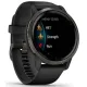 Умные часы Garmin Venu 2 сланцевая нержавеющая сталь/черный