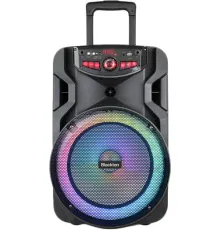 Беспроводная колонка Blackton Bt PBS2113