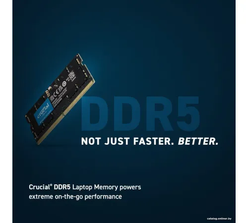 Оперативная память Crucial 16ГБ DDR5 SODIMM 5600МГц CT16G56C46S5