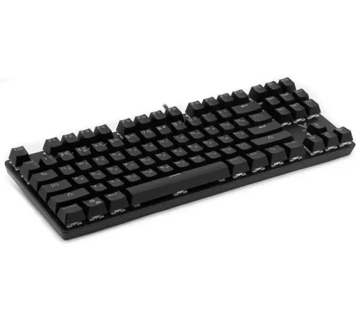Клавиатура Rapoo V500Pro-87 черный