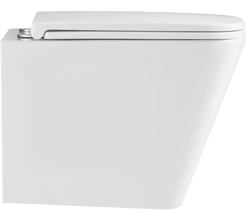 Унитаз подвесной Lemark Florex 9614001 белый глянец, с сиденьем