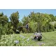 Катушка для шланга Hozelock Hose Cart 2398 60 м