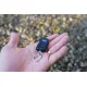 Фонарь Nitecore Tini 2