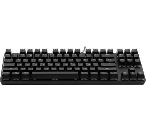 Клавиатура Rapoo V500Pro-87 черный