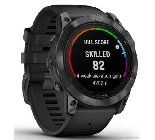 Умные часы Garmin Fenix 7X Pro Solar сланцево-серый/черный