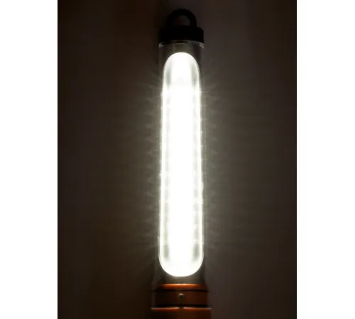 Светильник TDM Electric ФП12 SQ0306-0012