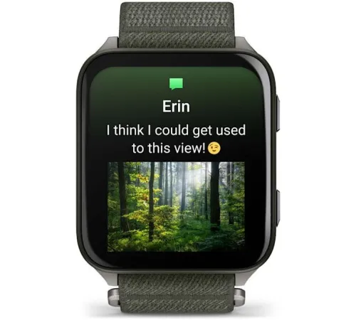 Умные часы Garmin Venu X1 титановый/зеленый