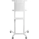 Стойка для телевизора CACTUS CS-ST1146WT