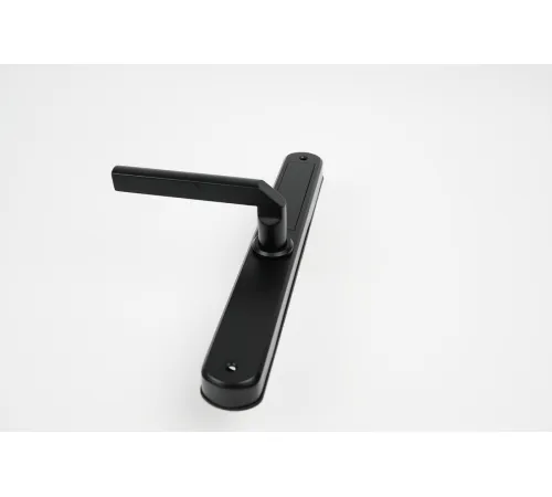 Дверной замок Roome Waterproof TTLock Digital Fingerprint Aluminum Door Lock A2