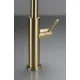 Смеситель Deante Evora Gold Br BQJ_R62M