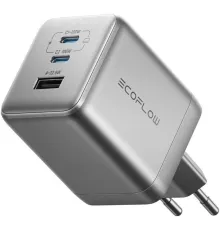 Сетевое зарядное EcoFlow Rapid Pro Charger 100W