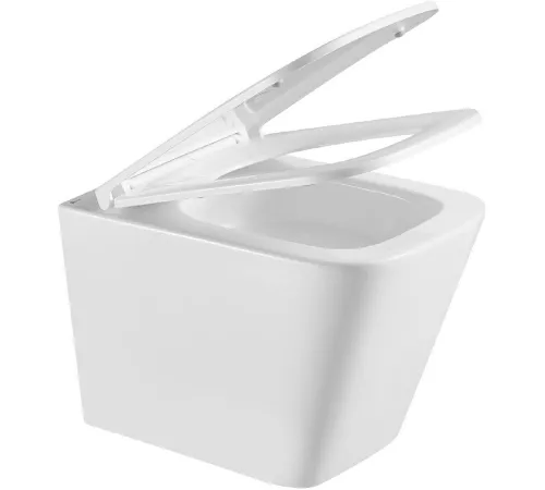 Унитаз подвесной Lemark Florex 9614001 белый глянец, с сиденьем