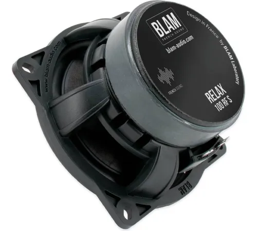 Компонентная АС BLAM 100 RFS