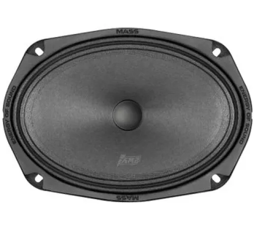 Широкополосная АС AMP Mass FR69