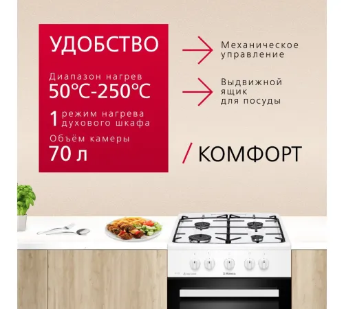 Кухонная плита Hansa FCGW510009H